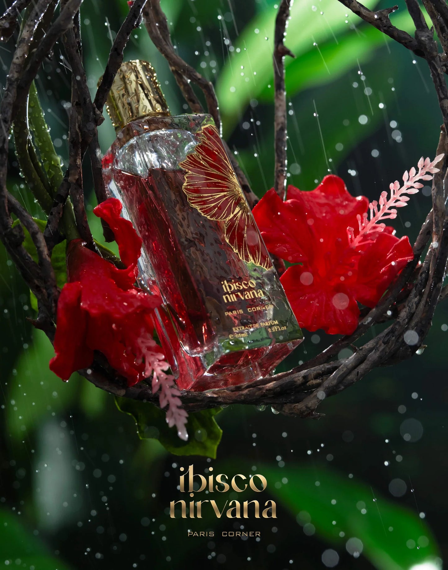 Paris Corner Ibisco Nirvana EDP 65 ml