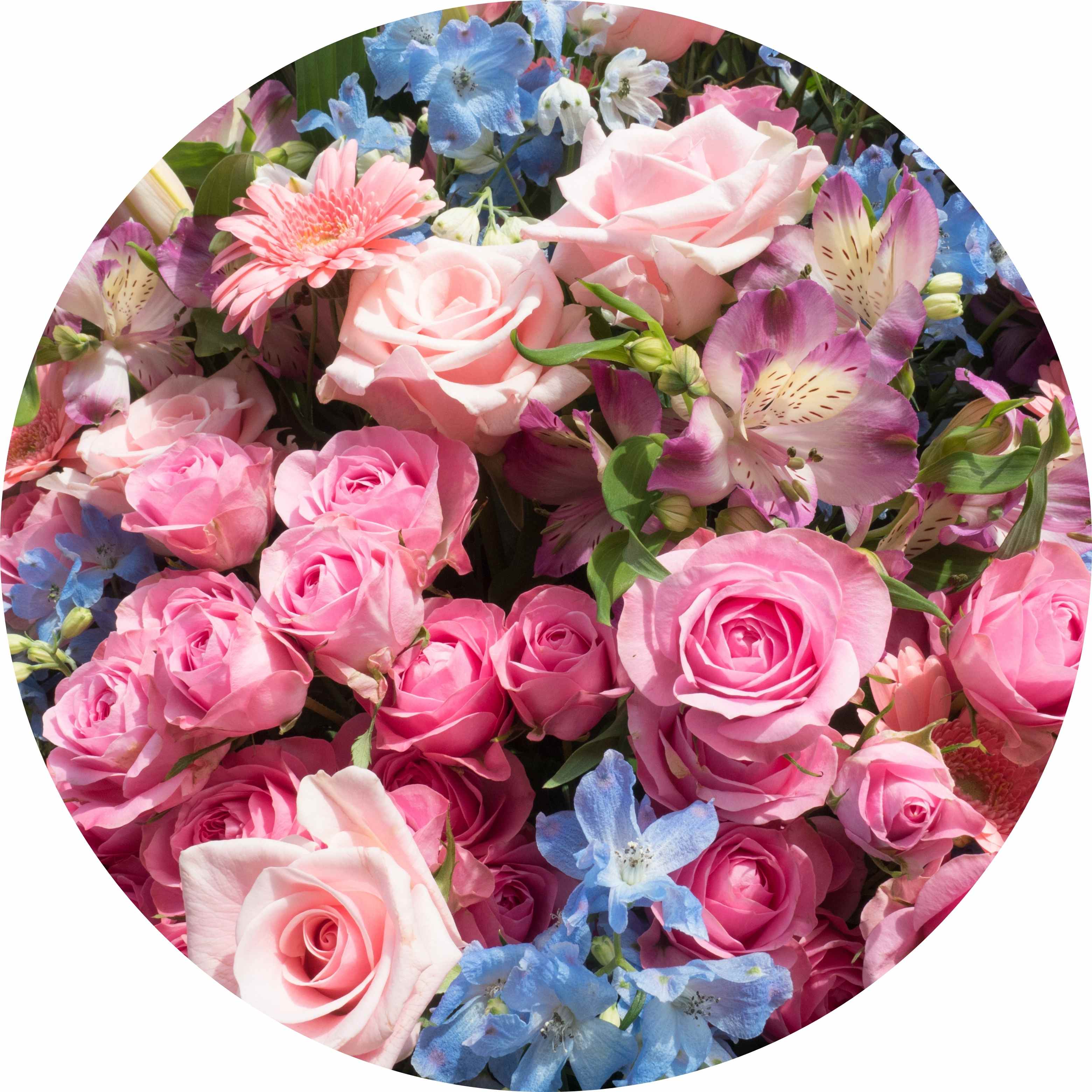 Floral