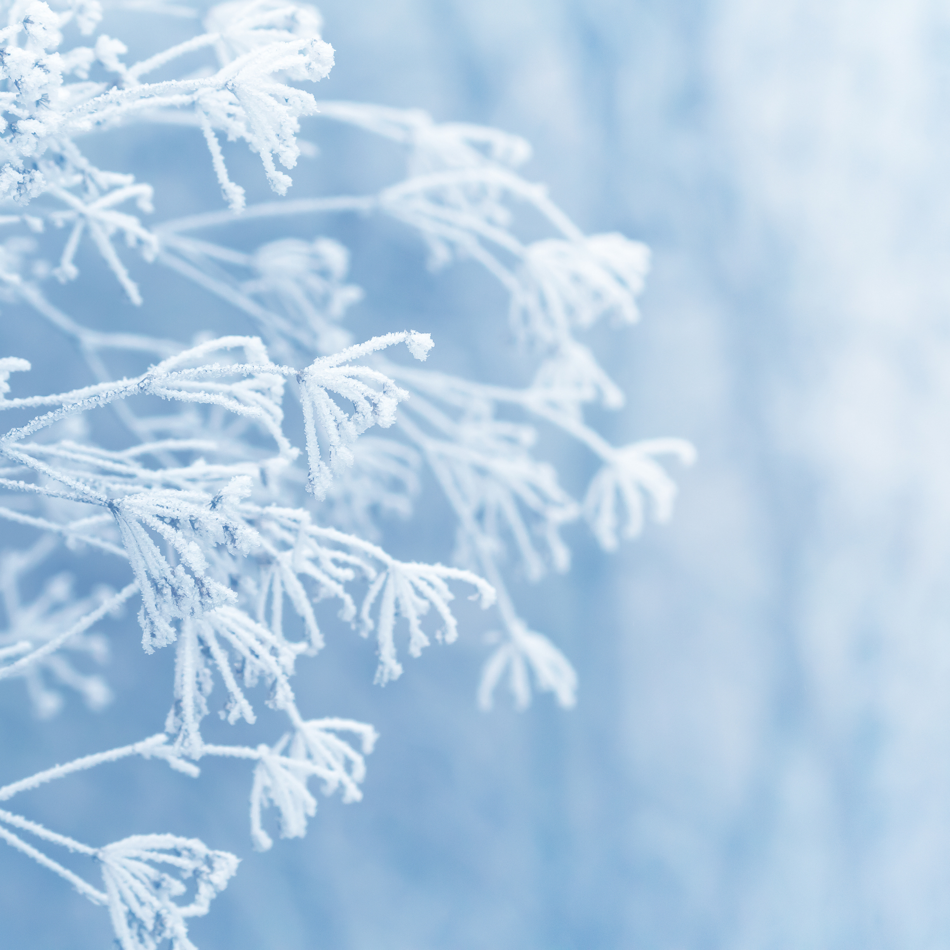 Vinter