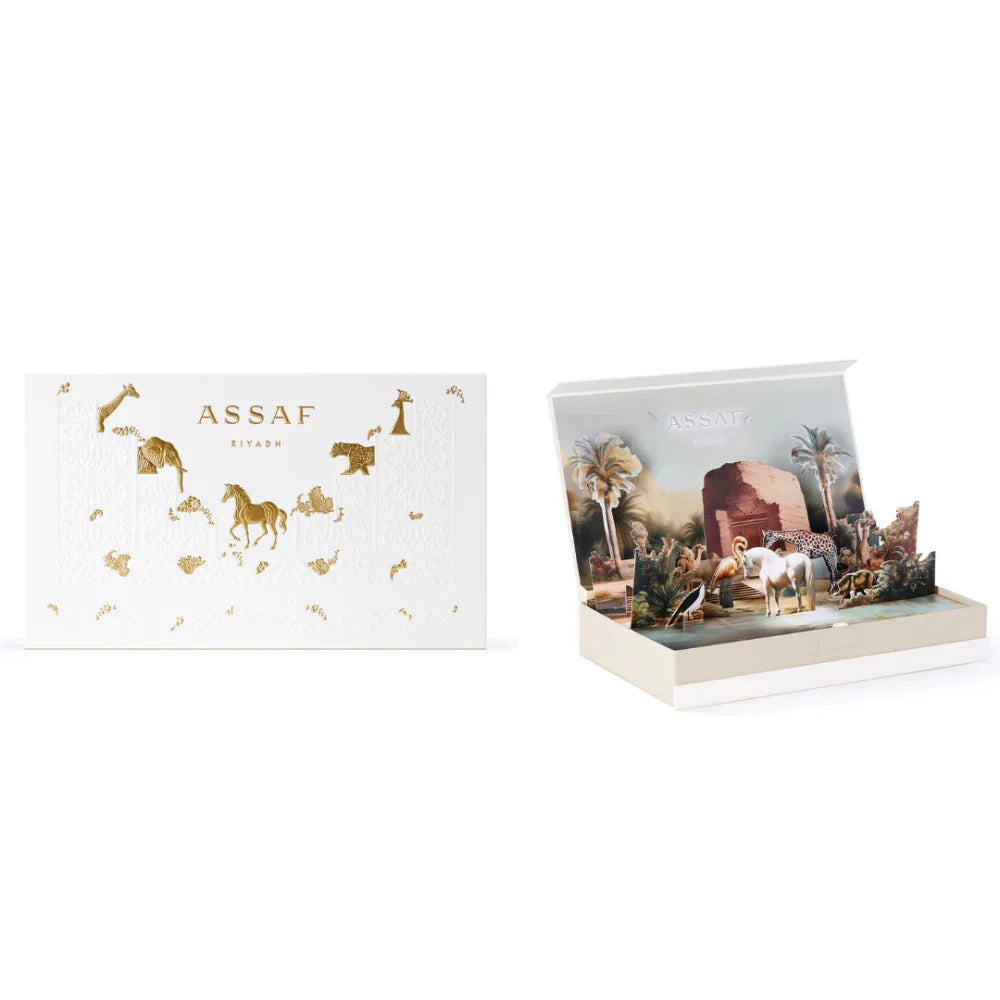 Foundation Pakke fra Assaf