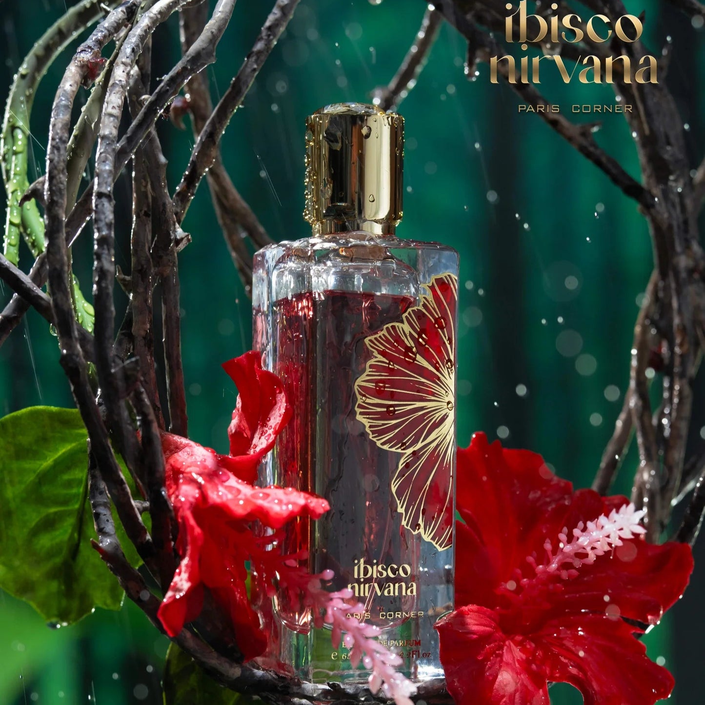 Paris Corner Ibisco Nirvana EDP 65 ml