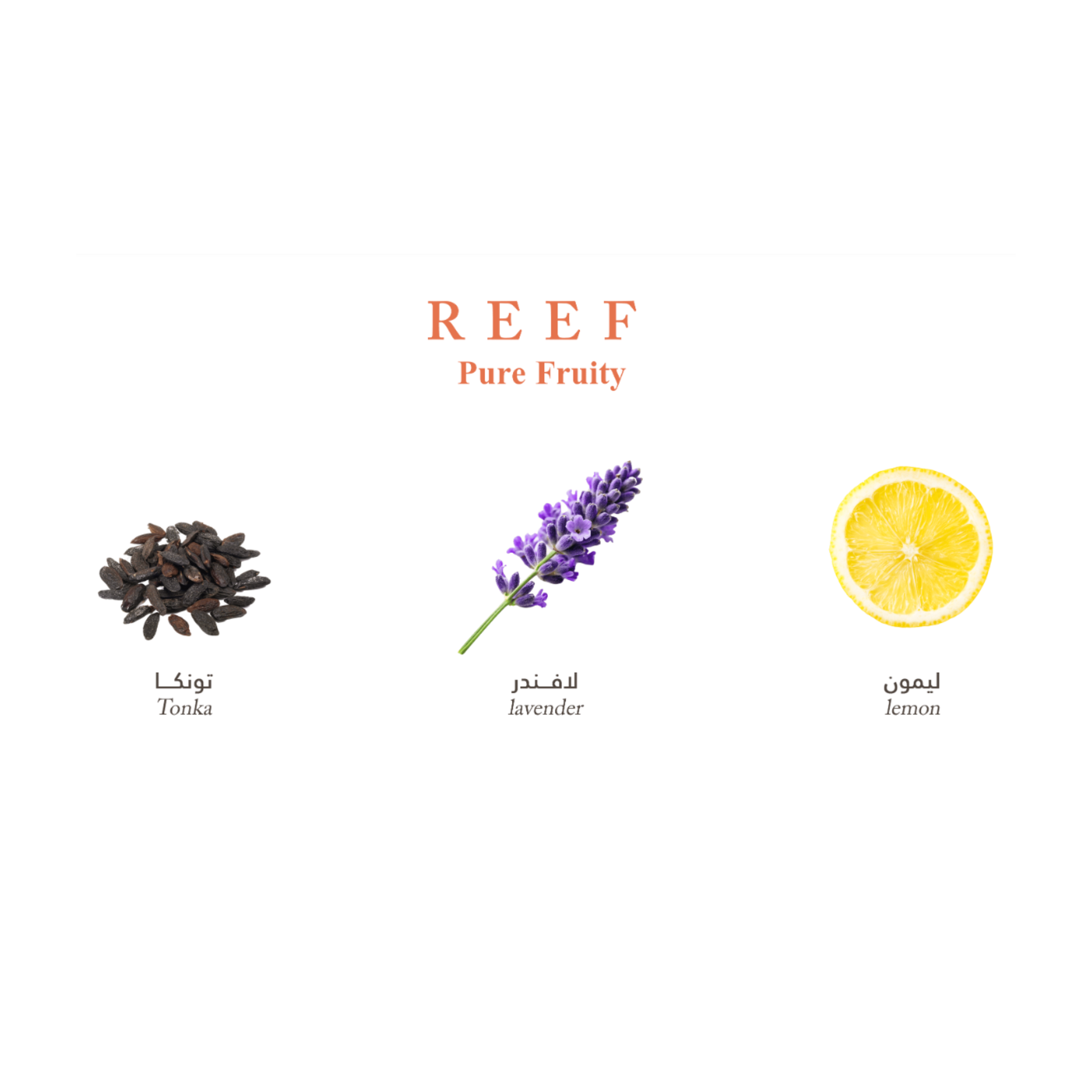 Pure Fruity Reef EDP 150