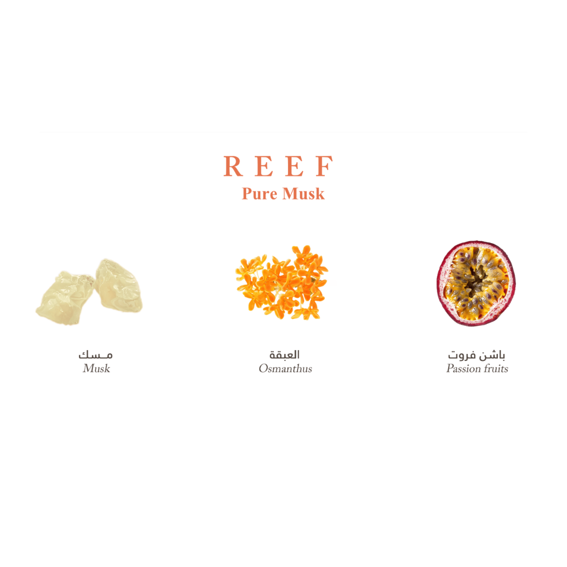 Pure Musk Reef EDP 150 ml