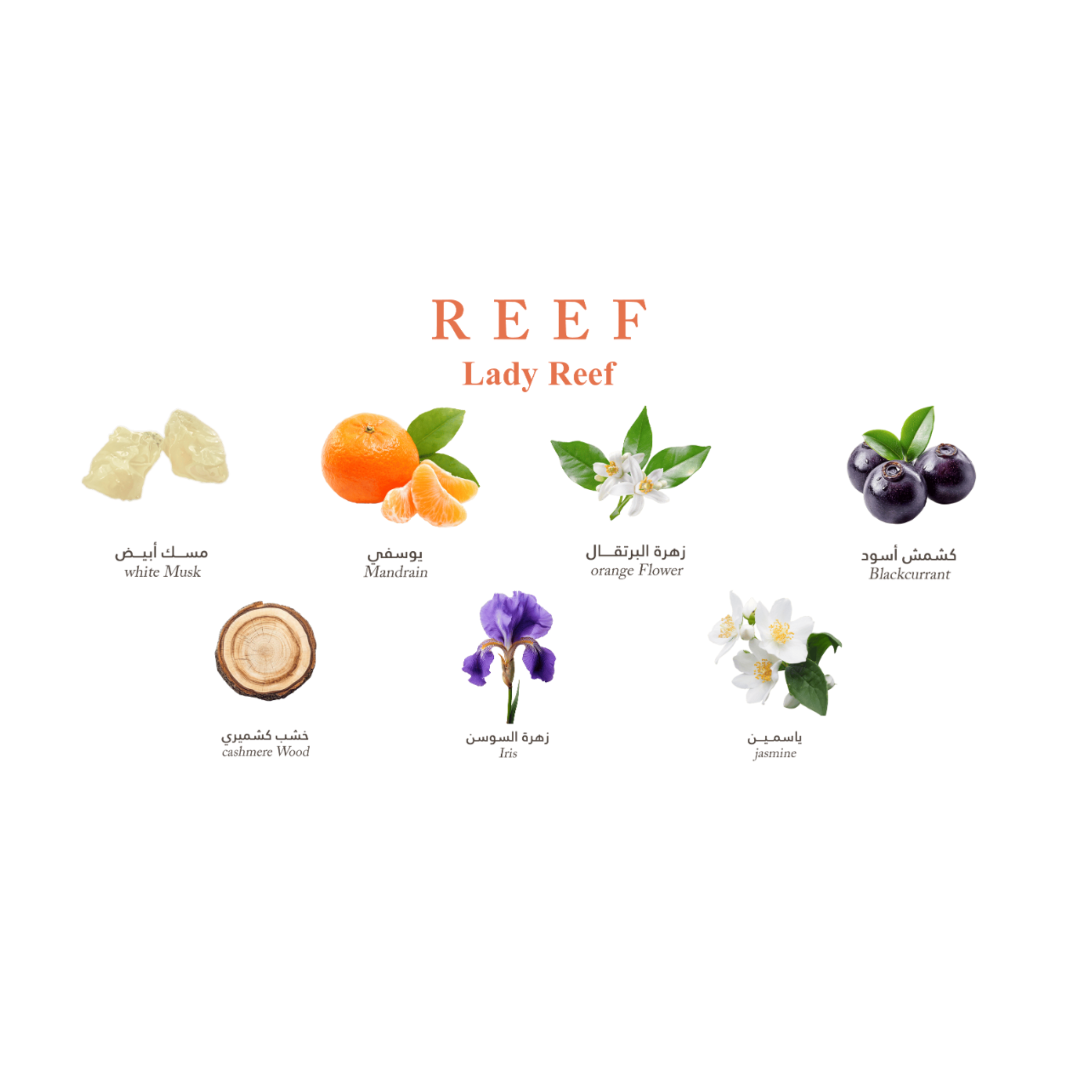 Lady Reef EDP 150 ml