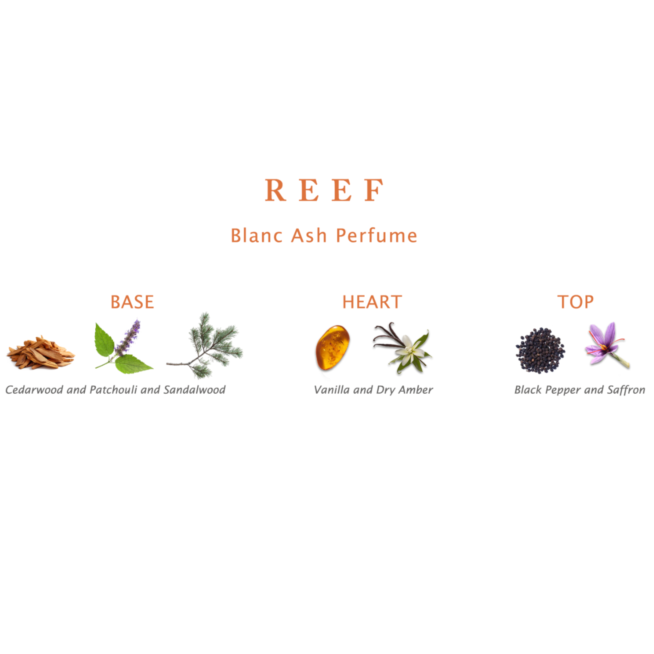 Blanc Ash Fruity Reef EDP 100 ml